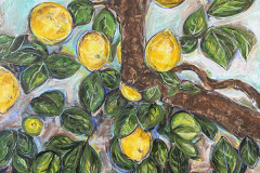 Citronnier de Bacoli 50.8 x 45.72 cm 2023