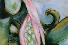 Bromeliade 40.64 x 20.32 cm 1999 VENDU