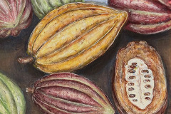 Cacao 63.5 x 40.64 cm 1999 VENDU