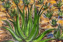 Aloe Aruba 16"x20" 2024