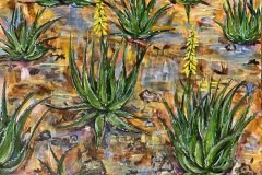 Flowering Aloe Aruba 16"x20" 2024