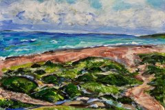 Mangroves Aruba 16"x20" 2024