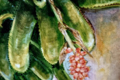 Bromeliade-12_x12_1993SOLD