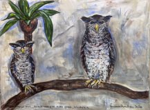 Malaysian Eagle-Owls, Kuala Lumpur — 12" × 16", 2026