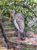 Milky Stork, Kuala Lumpur — 16" × 12", 2026 — SOLD