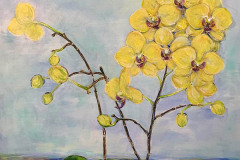 Yellow-phalenopsis-28_x20_2021 SOLD